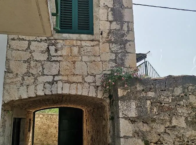 Kokotic Apartamento